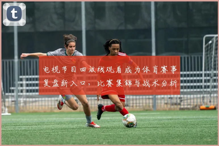 电视节目回放线观看成为体育赛事复盘新入口，比赛集锦与战术分析同步热播