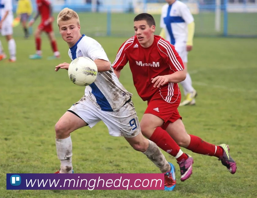 数据防护可视化